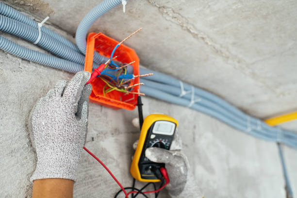 Best Electrical Troubleshooting Services  in Palestine, IL